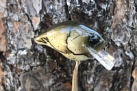 Image 9 of Custom Airbrushed S-CRANK 1.5 Squarebill Crankbait 1151