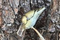 Image 10 of Custom Airbrushed S-CRANK 1.5 Squarebill Crankbait 1151