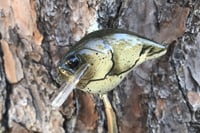 Image 3 of Custom Airbrushed S-CRANK 1.5 Squarebill Crankbait 1151