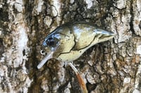 Image 5 of Custom Airbrushed S-CRANK 1.5 Squarebill Crankbait 1151