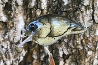 Image 1 of Custom Airbrushed S-CRANK 1.5 Squarebill Crankbait 1151