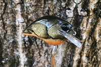 Image 2 of Custom Airbrushed S-CRANK 1.5 Squarebill Crankbait 1259