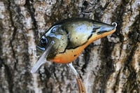 Image 4 of Custom Airbrushed S-CRANK 1.5 Squarebill Crankbait 1259