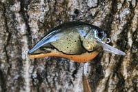 Image 5 of Custom Airbrushed S-CRANK 1.5 Squarebill Crankbait 1259