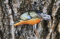 Image 6 of Custom Airbrushed S-CRANK 1.5 Squarebill Crankbait 1259