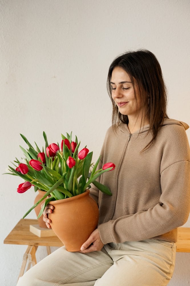 Image of Paquete de tulipanes