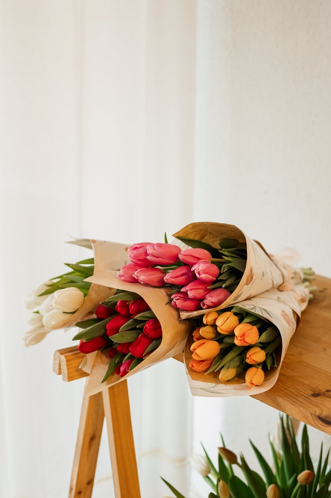 Image of Paquete de tulipanes