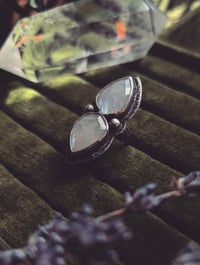 Image 4 of Swan song ring (6.5)