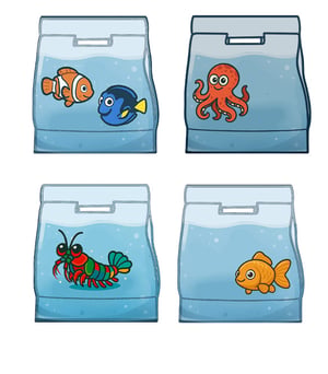 WACKY BAGS Starter Pack (SMALL) - NO Display