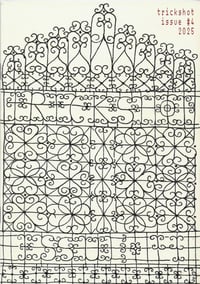 Image 1 of Trickshot #4