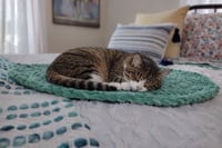 Image 1 of The Snug Rug