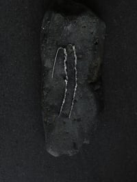 Image 1 of Palm Tree Frond Silver Earrings