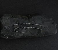 Image 3 of Palm Tree Frond Silver Earrings