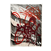 Image 2 of Spider Sure