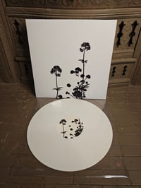 Image 2 of Life - demo 6 // ...and still it flutters 12"