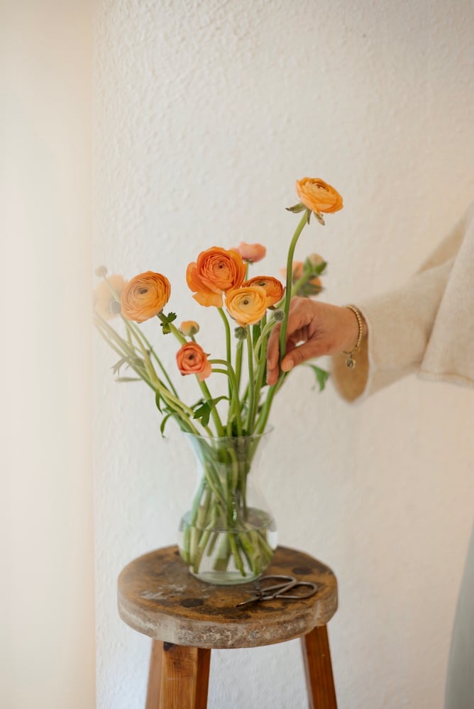 Image of Paquete de ranunculos