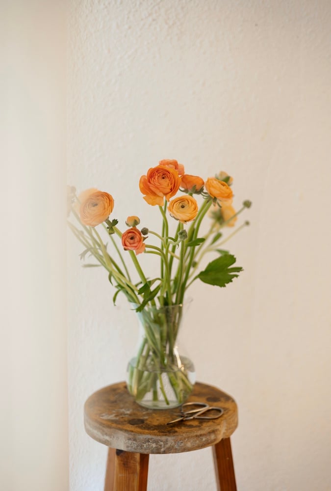 Image of Paquete de ranunculos