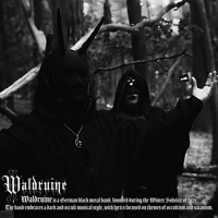 Image 4 of Waldruine – Nachtmeerfahrten (MC)