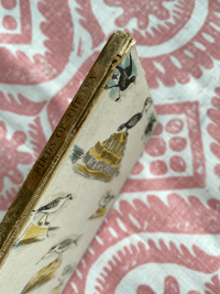 Image 4 of Birds of the Sea vintage King Penguin book