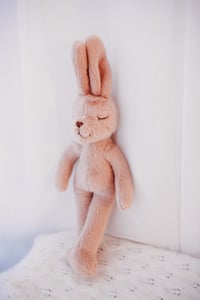 Image 3 of Super soft Bunsie Bunny 