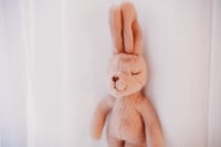 Image 3 of Super soft Bunsie Bunny 