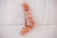 Image 2 of Super soft Bunsie Bunny 