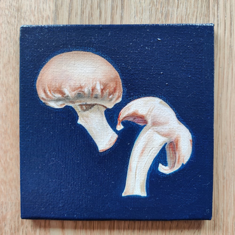 Image of 'Mushrooms' Original mini oil painting