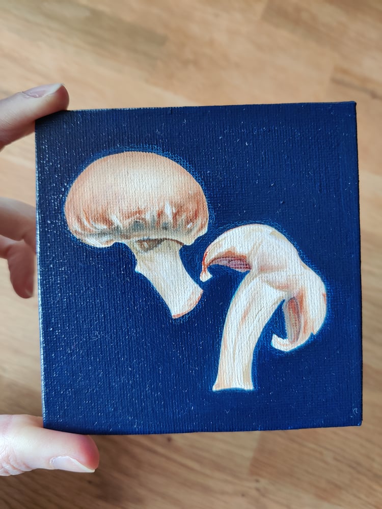 Image of 'Mushrooms' Original mini oil painting
