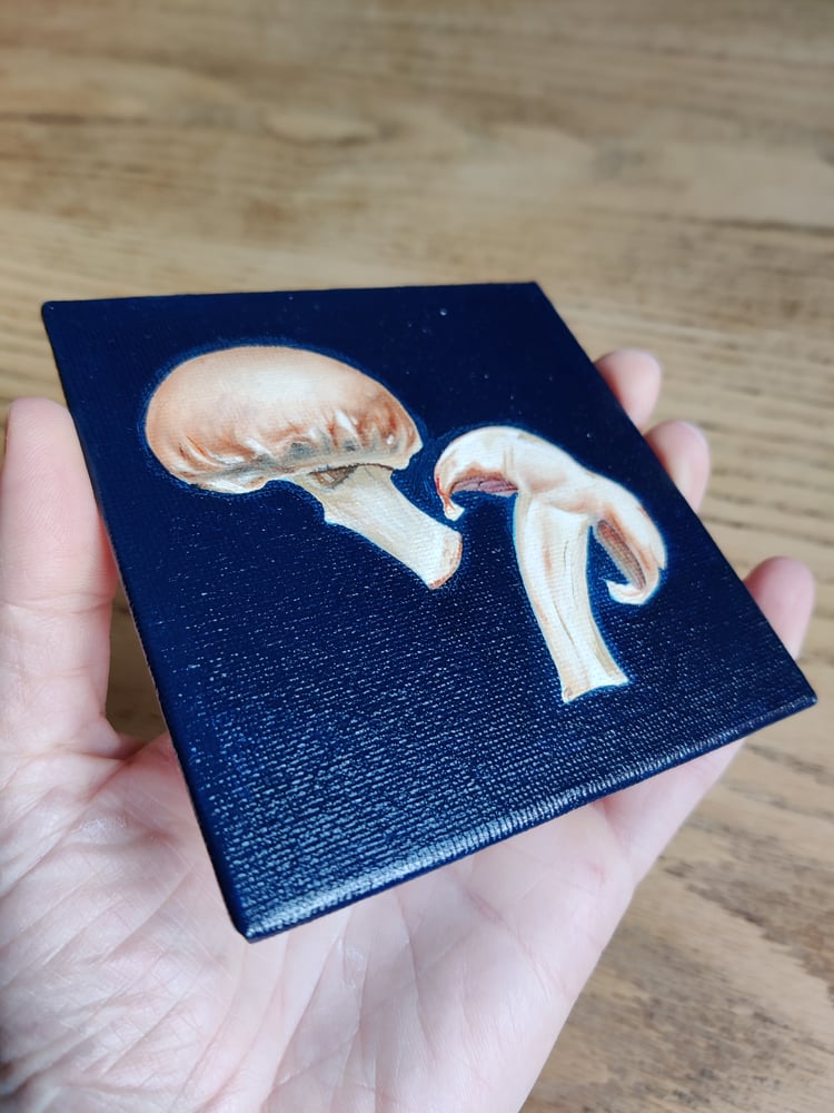 Image of 'Mushrooms' Original mini oil painting