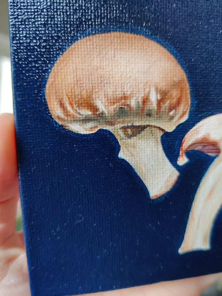 Image of 'Mushrooms' Original mini oil painting