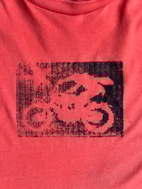 Image 2 of rider 001