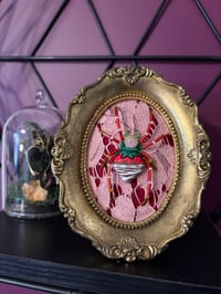 Chocolate Covered Strawberry