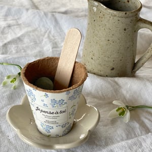 Image of DES FLEURS À SEMER...