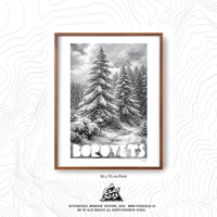 Image 1 of Borovets Pine trees Print