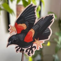Image 2 of red winged blackbird sticker