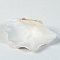 Image 7 of Vide-poche gros coquillage Tridacne "bénitier"  naturel des années 70 Porte savon