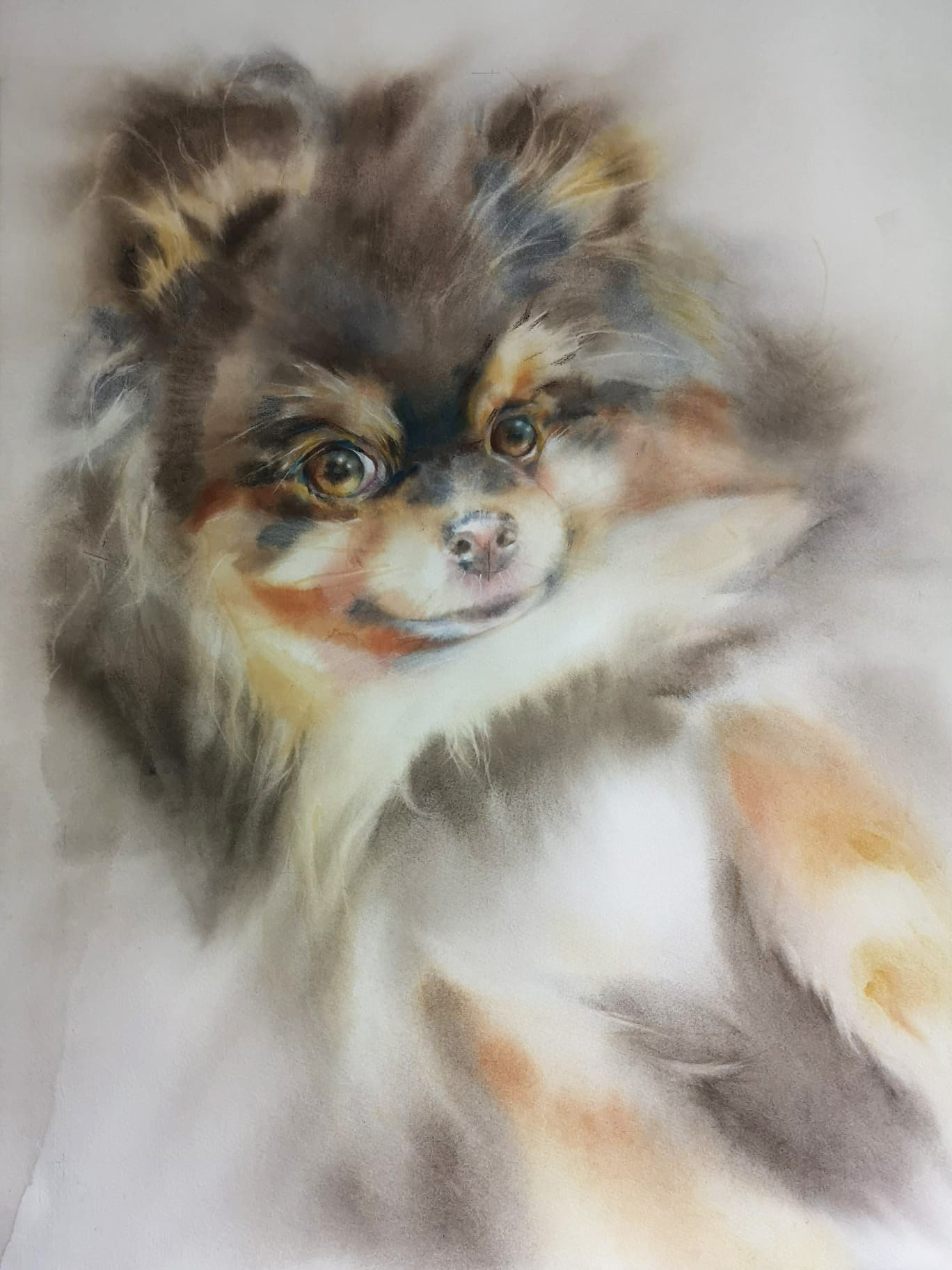 Image of “ Private Portreit “