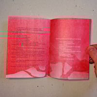 Image 4 of the in-taxonomizables