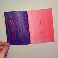 Image 2 of the in-taxonomizables