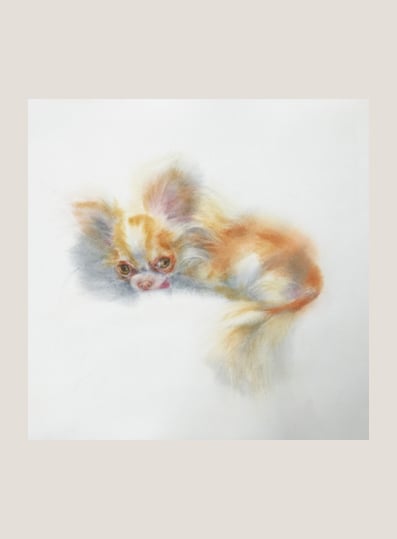 Image of “ Private Portreit III “