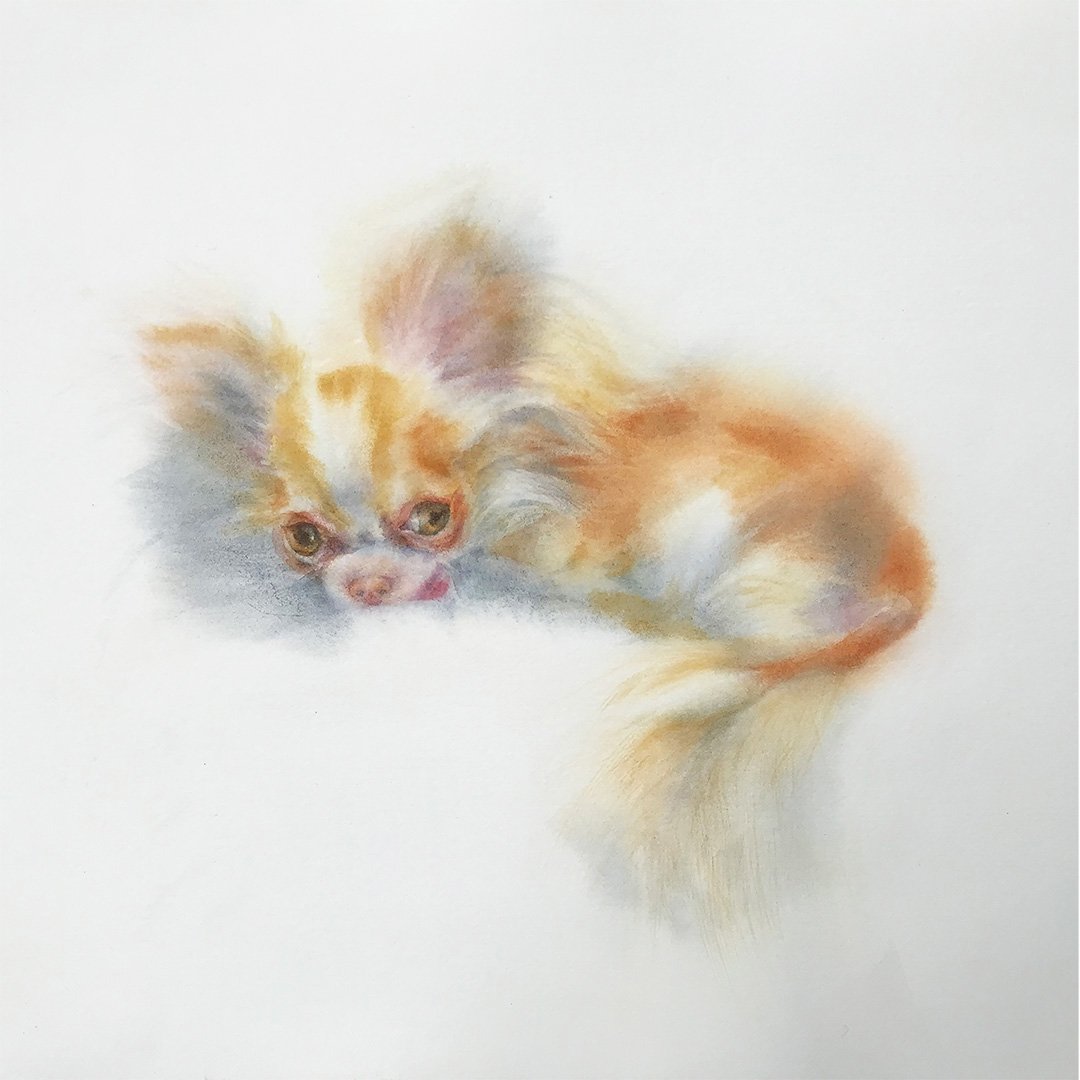 Image of “ Private Portreit III “