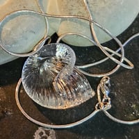 Image 1 of HAPPINESS, WEALTH, SECURITY, PROTECTION, and SUCCESS Vintage Shell Necklace