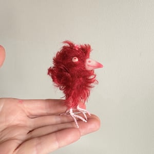 Image of Claudia the Scrappy Bird