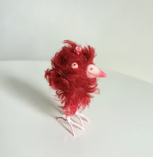 Image of Claudia the Scrappy Bird