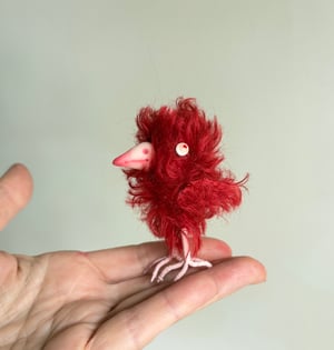 Image of Claudia the Scrappy Bird