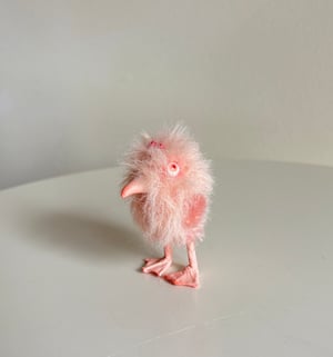 Image of Muffy the Scrappy Bird