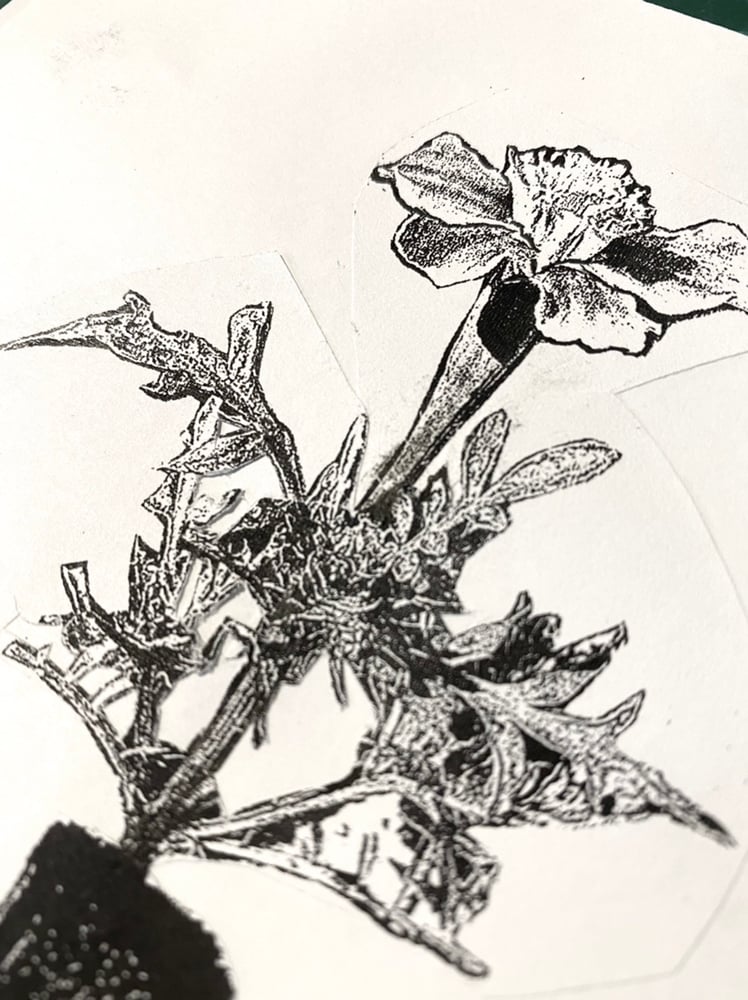 Image of 'flower gun' original collage