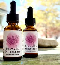 Image 1 of Boswellia & Frankincense Oil Extract