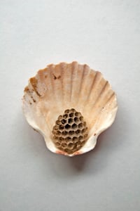 Image 4 of Taller: Poesía Visual. Impartido por Sergio Delicado.