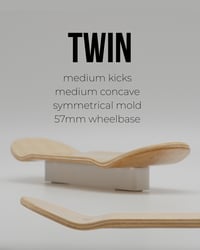 Image 3 of Twin Mold - Colors